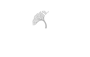 Twin Pines Wealth Management